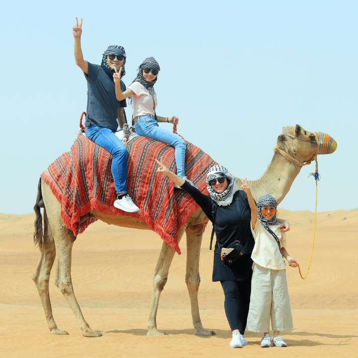 Camel Rides
