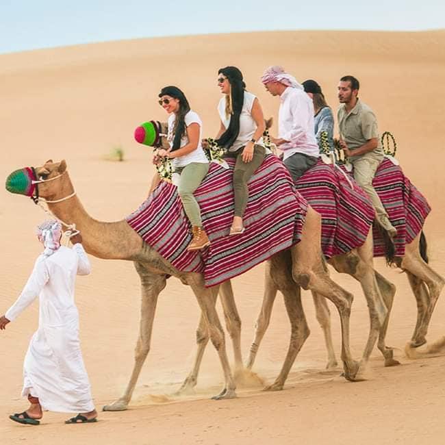 Camel Rides