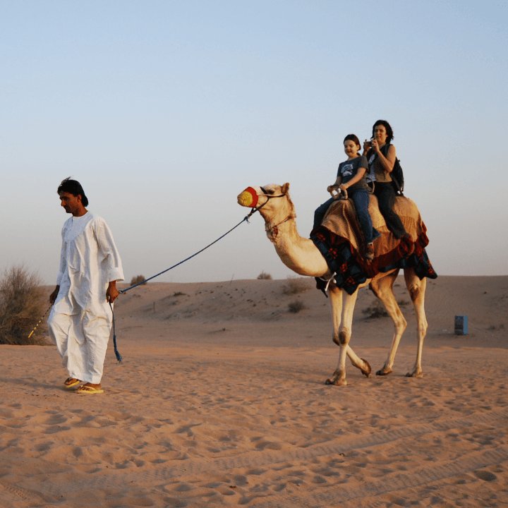 Camel Rides